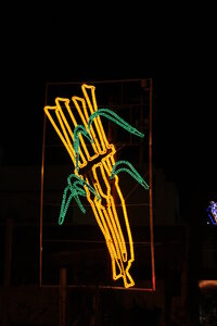décos de Noël, IMG_2956