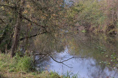 Loire à vélo - Toussaint 2022, IMG_8874