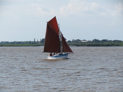Remontée de la Loire, IMG_6052