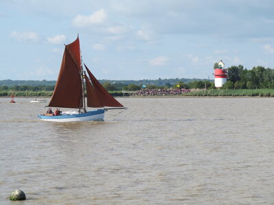 Remontée de la Loire, IMG_6053