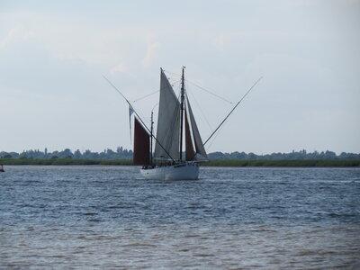 Remontée de la Loire, IMG_6067
