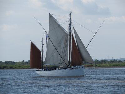 Remontée de la Loire, IMG_6069