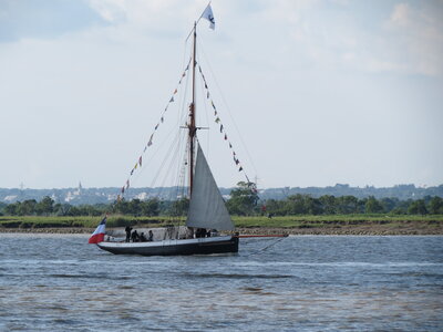 Remontée de la Loire, IMG_6070