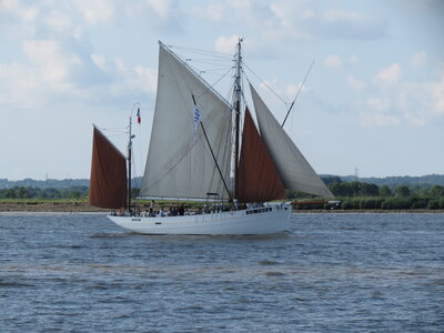 Remontée de la Loire, IMG_6071