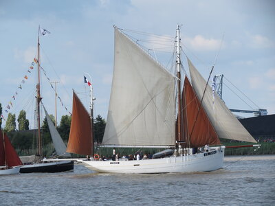 Remontée de la Loire, IMG_6074