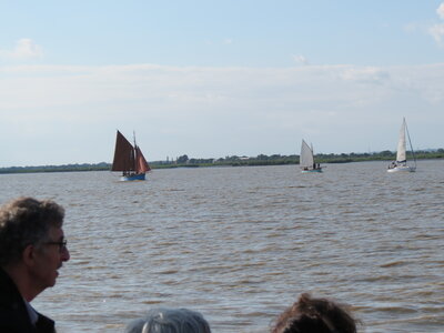 Remontée de la Loire, IMG_6078