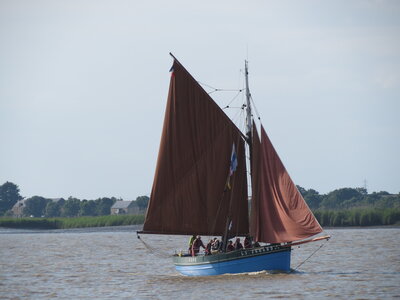 Remontée de la Loire, IMG_6079