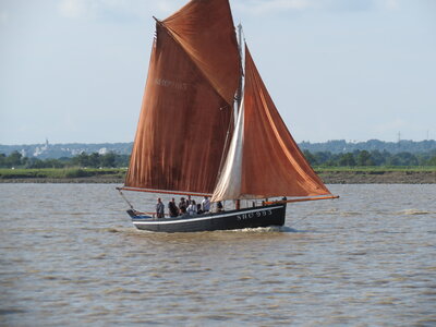 Remontée de la Loire, IMG_6081