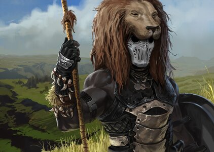 Degenesis, fle2
