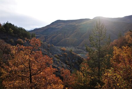 Tallard,les Marinons le 22 novembre 2022, DSC_0084
