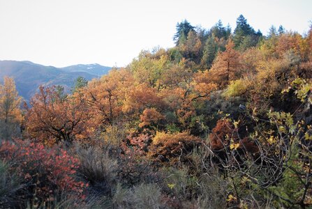 Tallard,les Marinons le 22 novembre 2022, DSC_0089