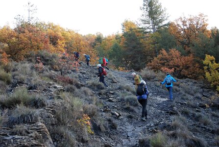Tallard,les Marinons le 22 novembre 2022, DSC_0090
