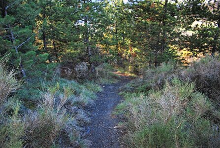 Tallard,les Marinons le 22 novembre 2022, DSC_0109