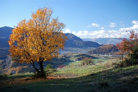 Tallard,les Marinons le 22 novembre 2022, DSC_0114