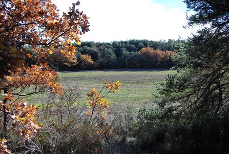 Tallard,les Marinons le 22 novembre 2022, DSC_0146