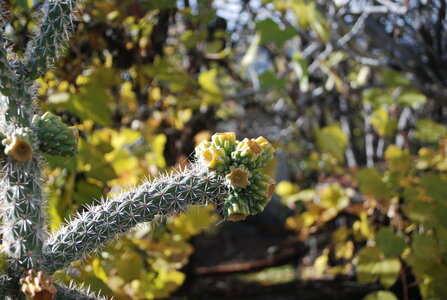 Tallard,les Marinons le 22 novembre 2022, DSC_0192