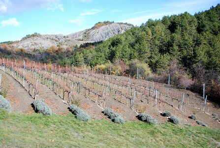 Tallard,les Marinons le 22 novembre 2022, DSC_0225