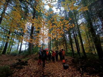 2022-11-24 au 26 3eme rencontre foncier forestier à Brassac (Tarn), IMG20221125161953 © Julie De Saint Blanquat