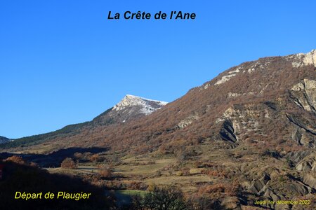 Crête de l'Ane, Crête de l’Ane  Ribier  001