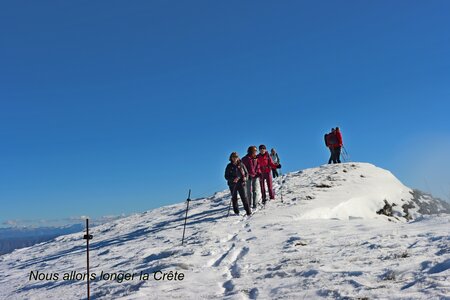 Crête de l'Ane, Crête de l’Ane  Ribier  032