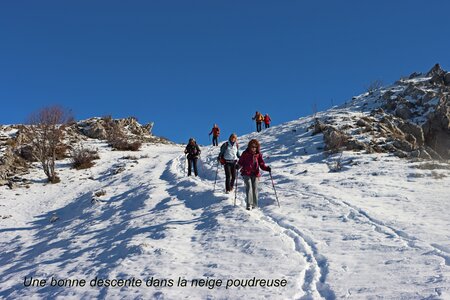 Crête de l'Ane, Crête de l’Ane  Ribier  034