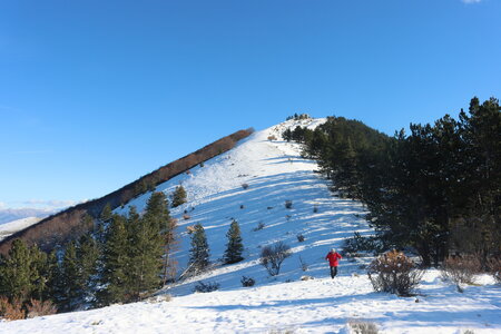 Crête de l'Ane, Crête de l’Ane  Ribier  036