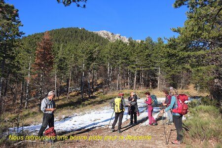 Crête de l'Ane, Crête de l’Ane  Ribier  042