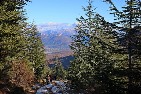 Crête de l'Ane, Crête de l’Ane  Ribier  045