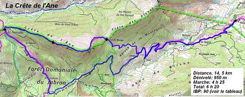Crête de l'Ane, Crête de l’Ane  Ribier  049
