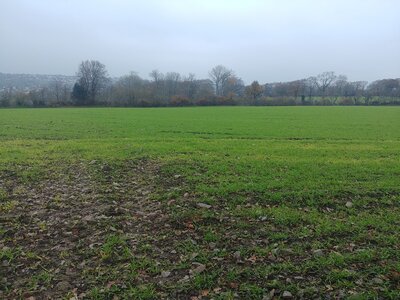 Marche contournement routier 04 déc 2022, 20221204_151456