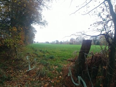 Marche contournement routier 04 déc 2022, 20221204_160357