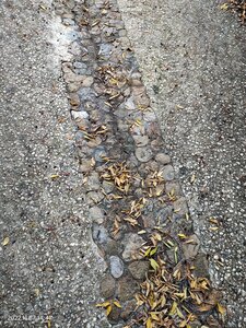Corconne-Sauve, IMG20221127144104