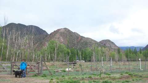 Argentina 2012 , 100_6412