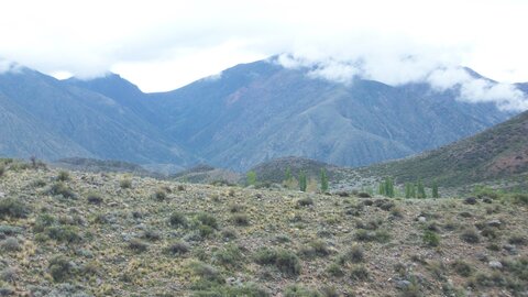 Argentina 2012 , 100_6419