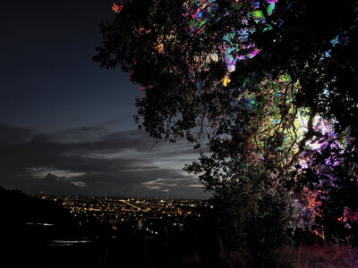 Fabien Magigue 2022, La nuit verte au parc Palmer