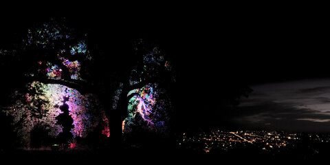 Fabien Magigue 2022, La nuit verte au parc Palmer