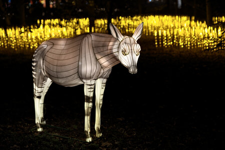 Fabien Magigue 2022, L'odyssée lumineuse au Parc Bordelais