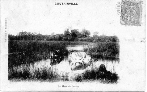 bassin versant de la Sienne et fleuves côtiers du SAGE COC, coutainville la mare de lessay  3 
