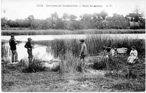bassin versant de la Sienne et fleuves côtiers du SAGE COC, environs de coutainville mare de lessay