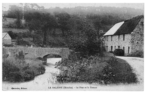 bassin versant de la Sienne et fleuves côtiers du SAGE COC, la baleine le pont et la sienne