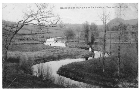 bassin versant de la Sienne et fleuves côtiers du SAGE COC, la baleine vue sur la sienne