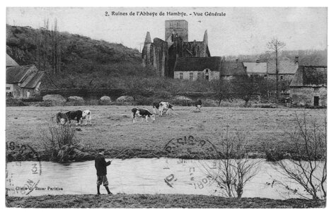 bassin versant de la Sienne et fleuves côtiers du SAGE COC, Ruines de l’abbaye de Hambye vue générale