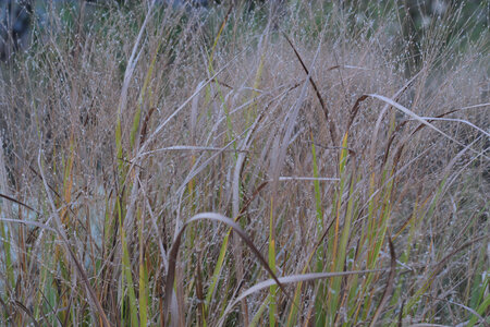 Loire à vélo - Toussaint 2022, IMG_8957