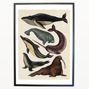 Pag Bestiaire et Végétal, Katie Scott animaux marins