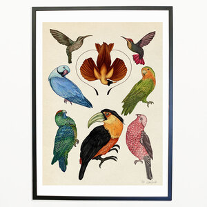Pag Bestiaire et Végétal, Katie Scott oiseaux