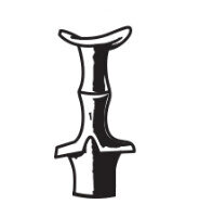 Logos, Agedu Bronze