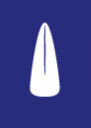 Logos, Néolithique
