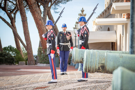 Carabiniers Relève de la garde du 12 janvier 2023, relève12jan23  51 sur 111 