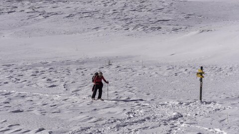 Janvier 23_col de Larche, col de Larche-10012023-_1057188