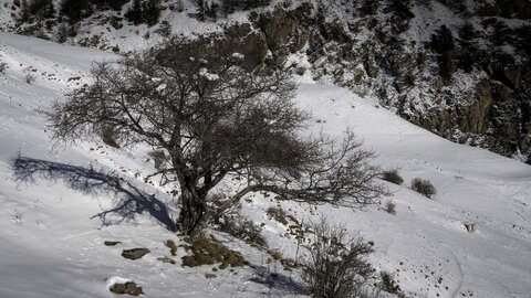 Janvier 23_col de Larche, col de Larche-10012023-_1057211